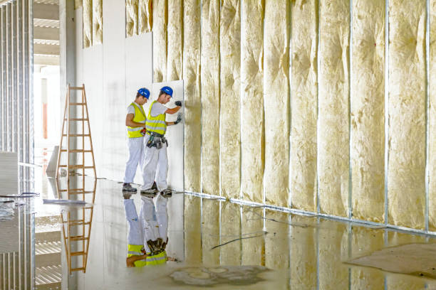 Best Insulation for Specific Applications in Lanark, IL